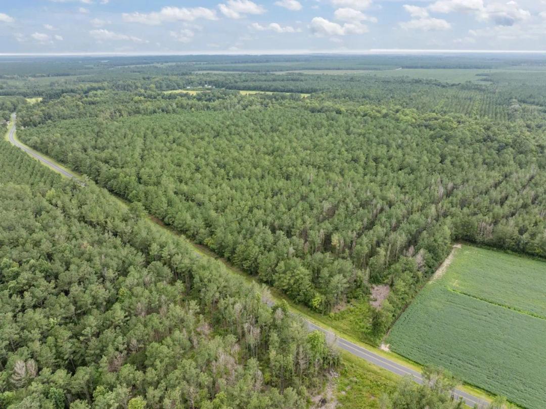 42-Acre Timber & Hunting Land for Sale in Edward, NC