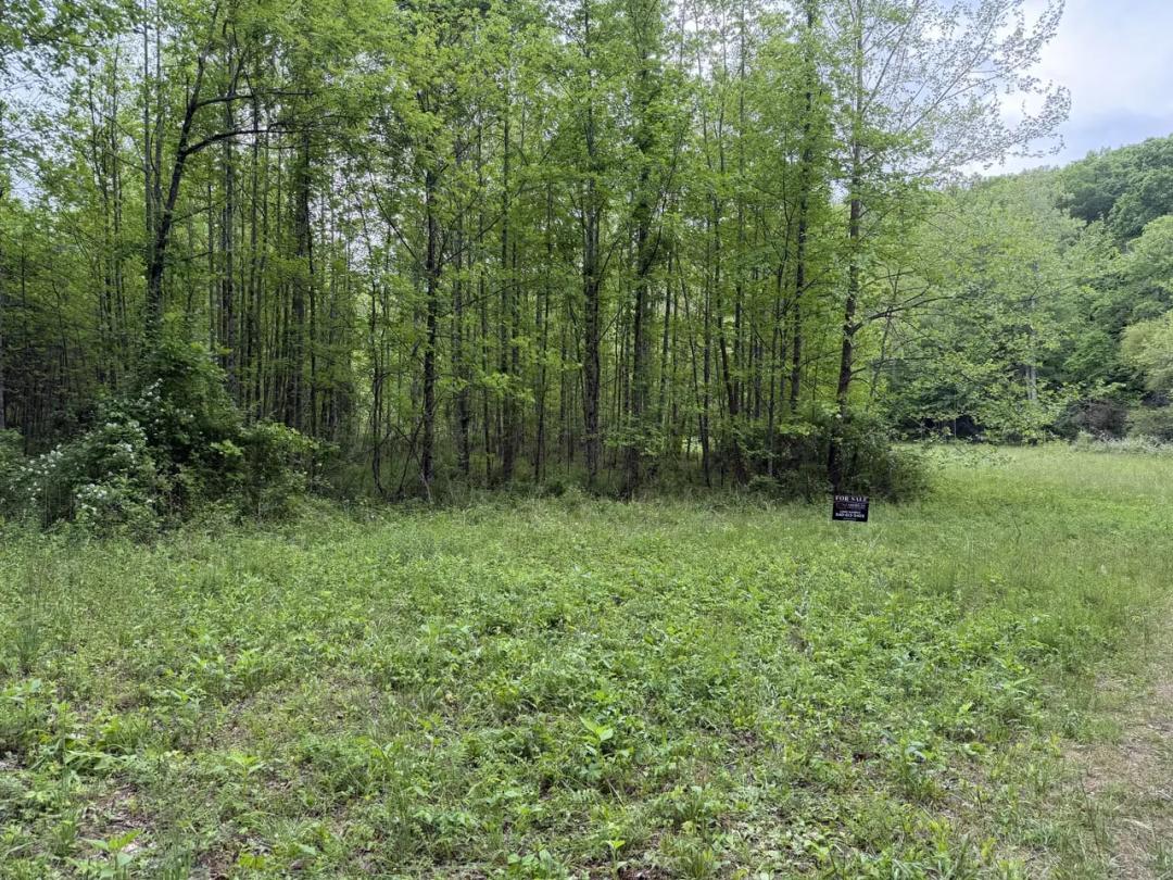 1.5 secluded acres in Carroll County Virginia!