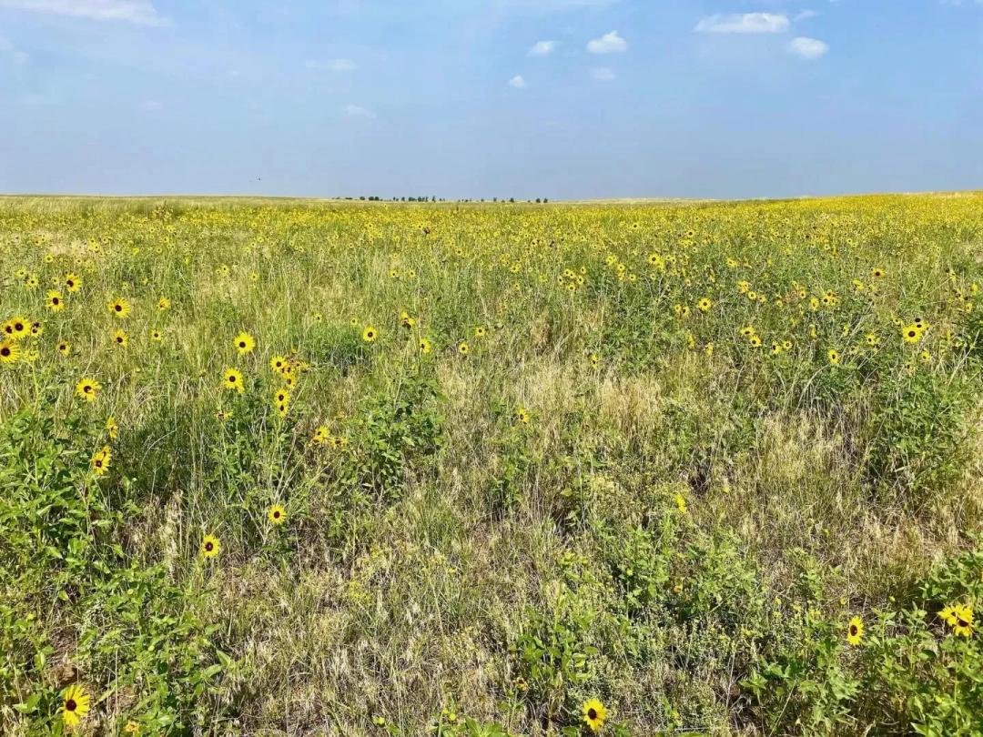 Vona Colorado Hunting and CRP Income