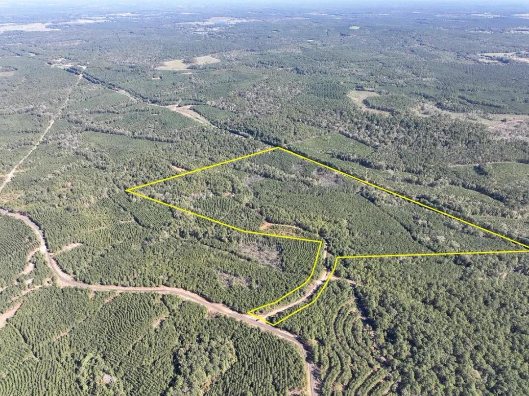 145 Acres | County Road 1060 | T-5