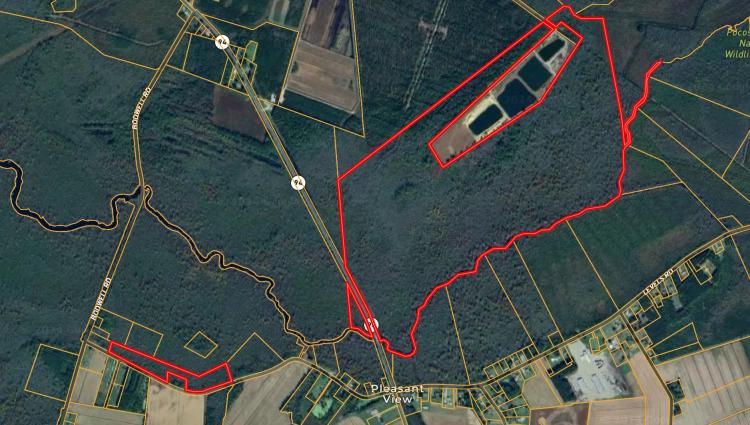 275-Acre Timberland for Sale in Tyrrell County, NC