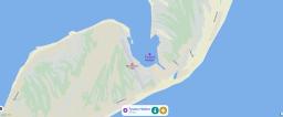 Dog Island 3