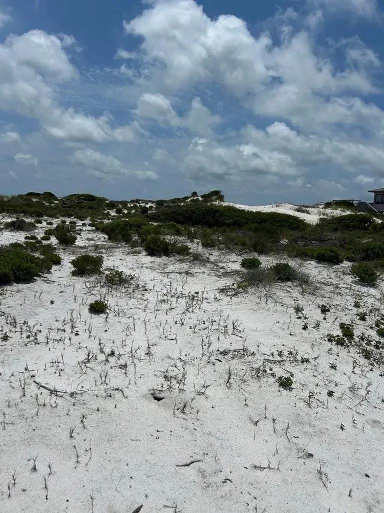 Island 2
