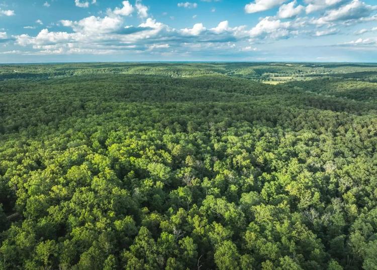 Cedar Ford Acres