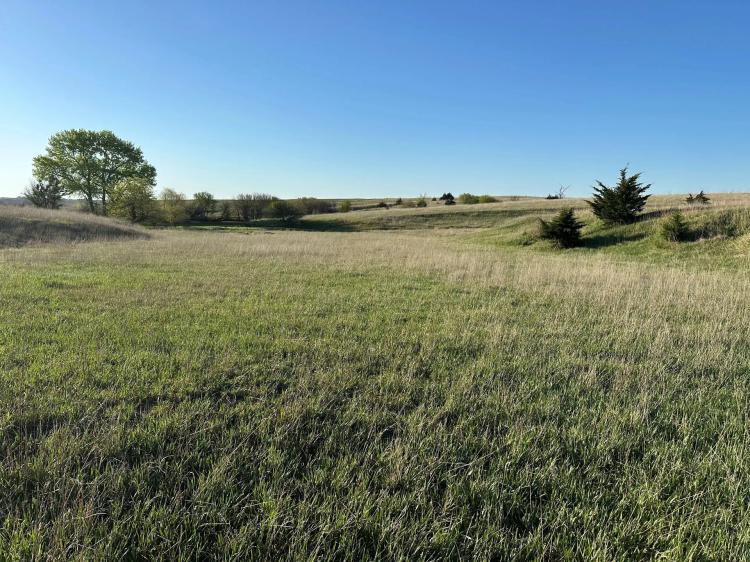 Elm Creek Township Farm