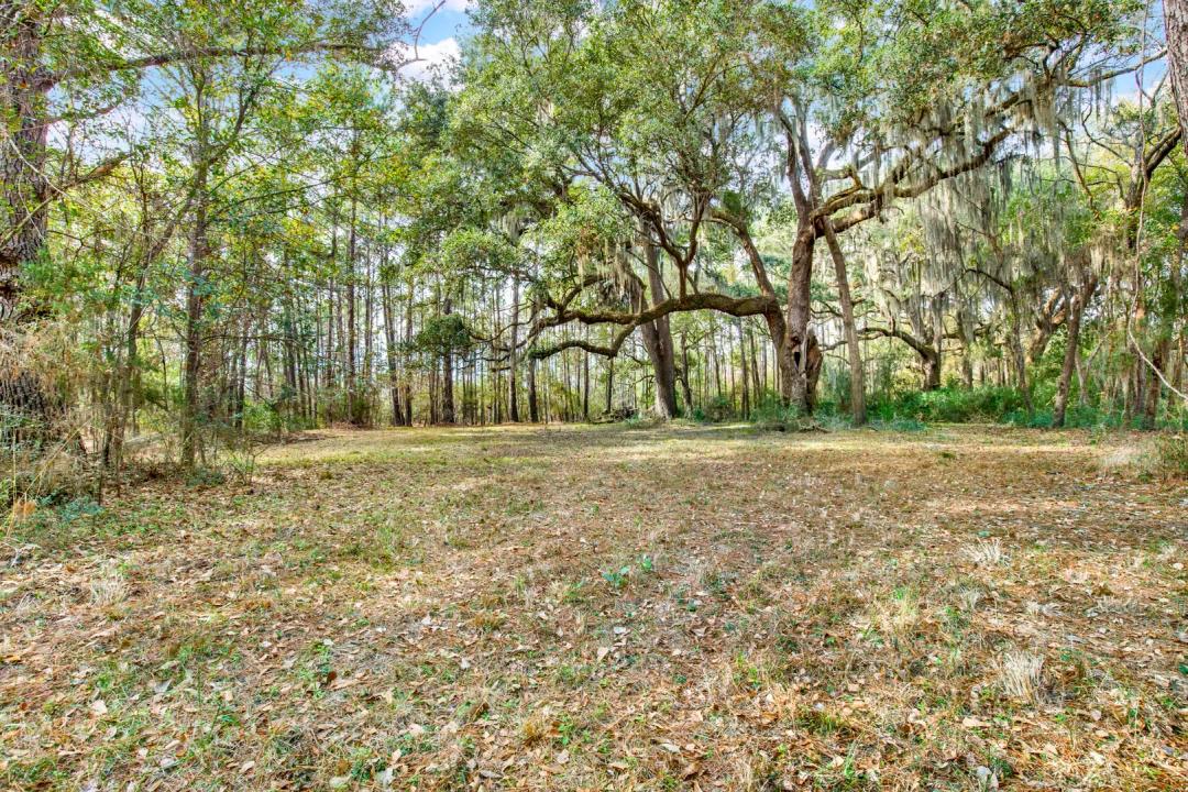 1.26 Acre Marsh Front - Buildable Lot