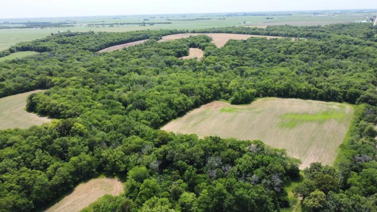 150.00 Acres at 0 N 1400th Rd