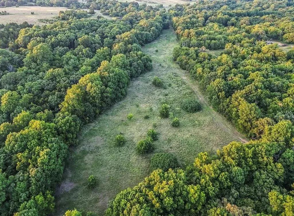 Oklahoma Paradise: 97 Acres with Creek, Wildlife & Utilities