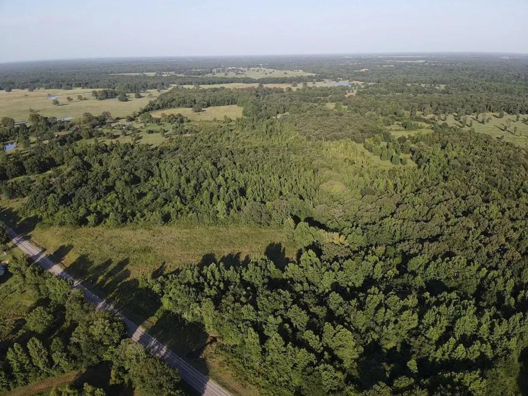 23+ Acres | NE Lamar County, TX