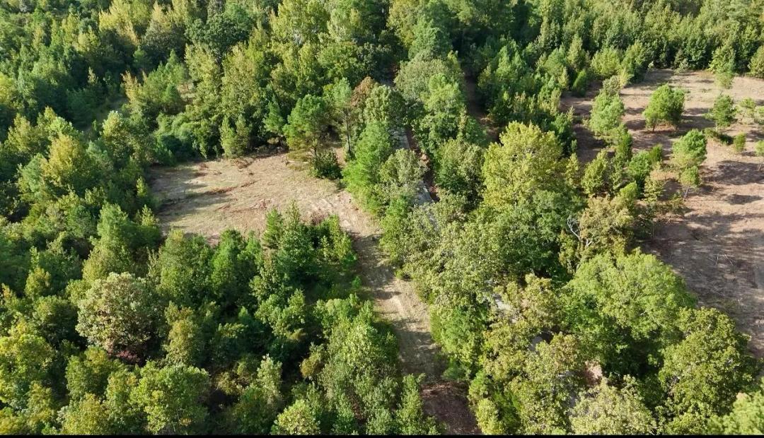 11 Acres in Lafayette County, MS 