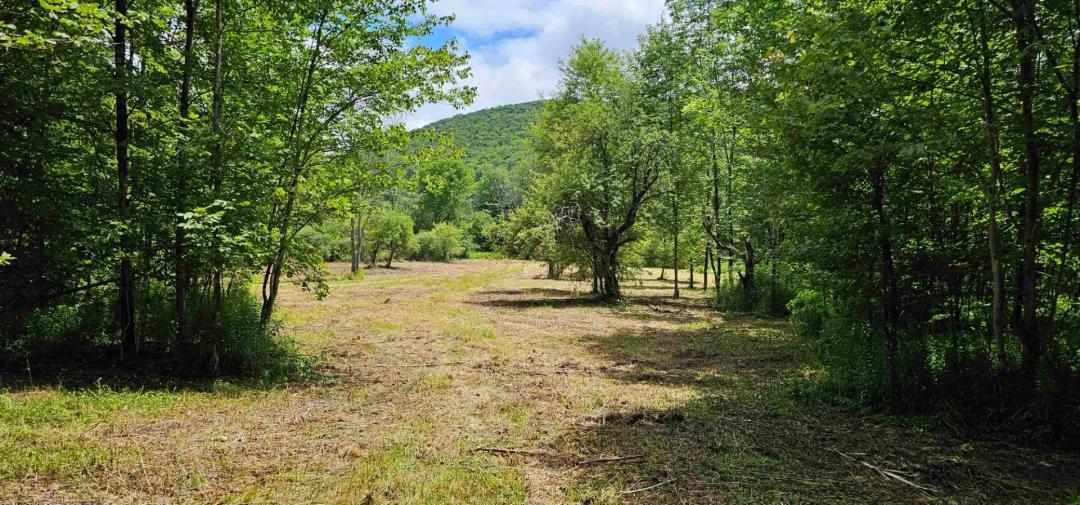 30 acre Partially Wooded Hunting and Recreational Property in Marathon NY 1233 Route 221