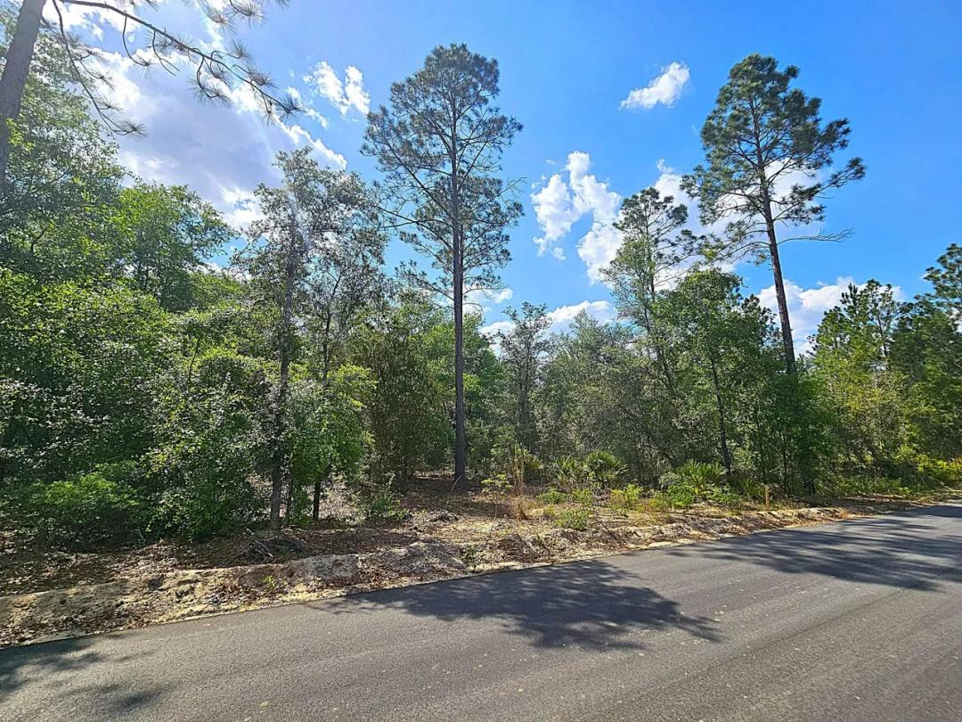 Lot 3 - The Reserve Phase II Blackshear, GA Pierce County