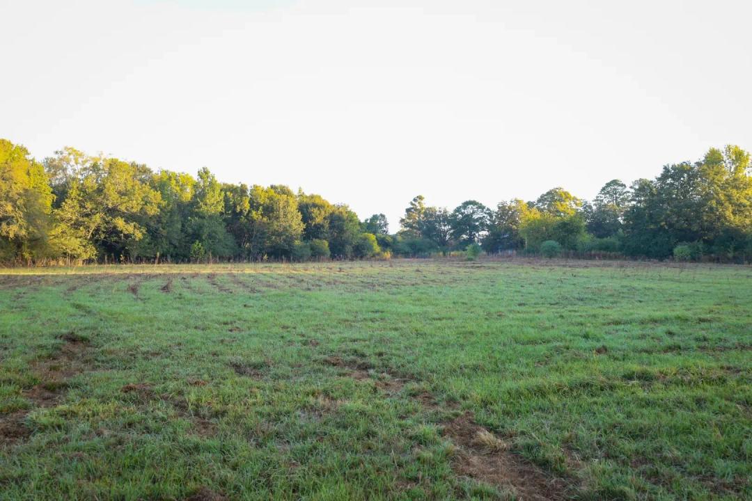 53 Acres in Union Parish, LA 