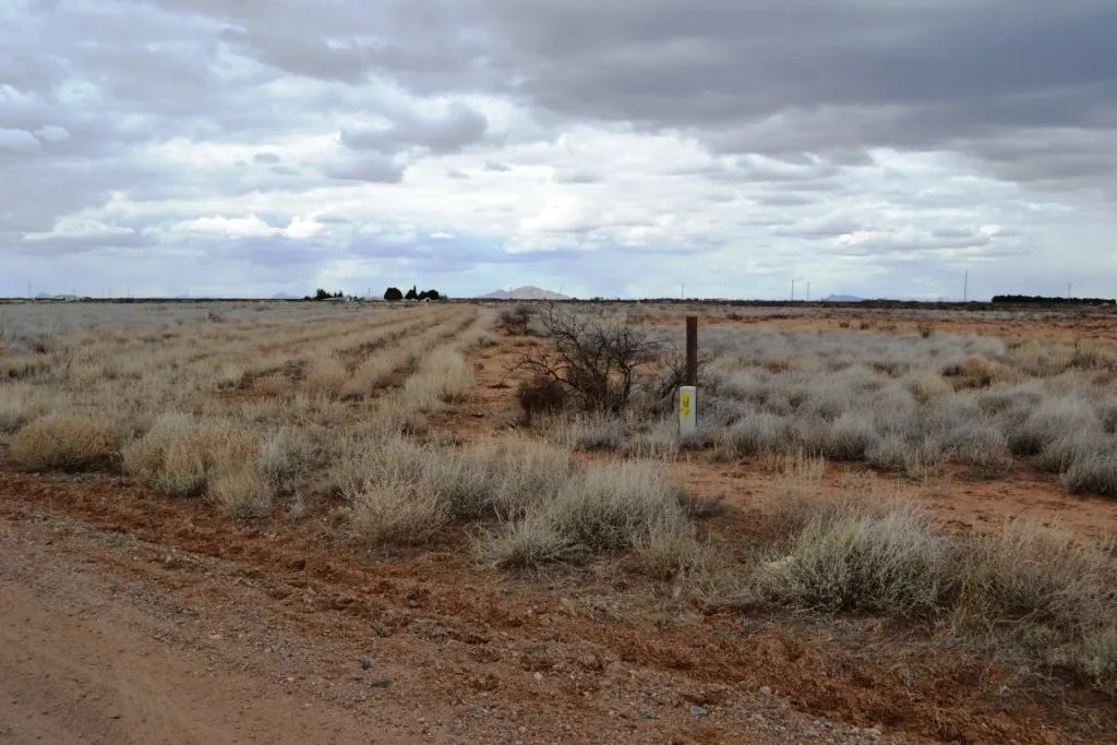 3 adjoining Lots Southern New Mexico * No restrictions. Mobiles, Modulars allowed