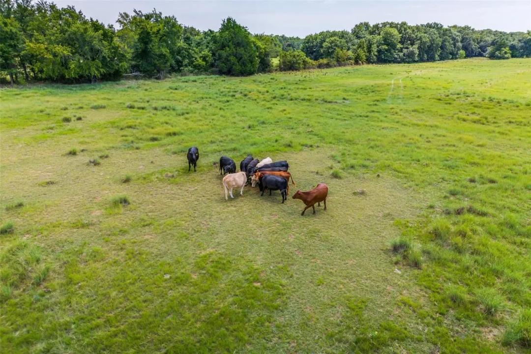 Country Property
