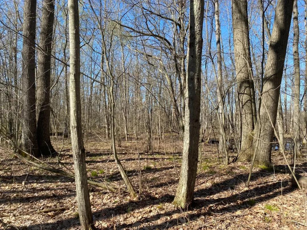 Black Lake Country