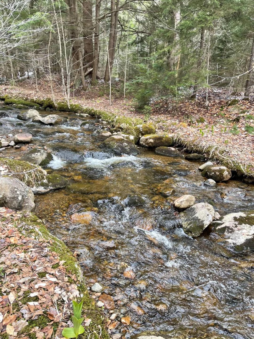 SOUTHERN ADIRONDACKS