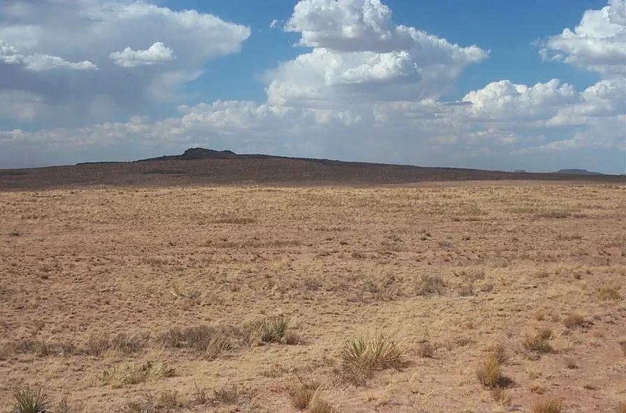 Sunny Arizona Holbrook - Petrified Forest area