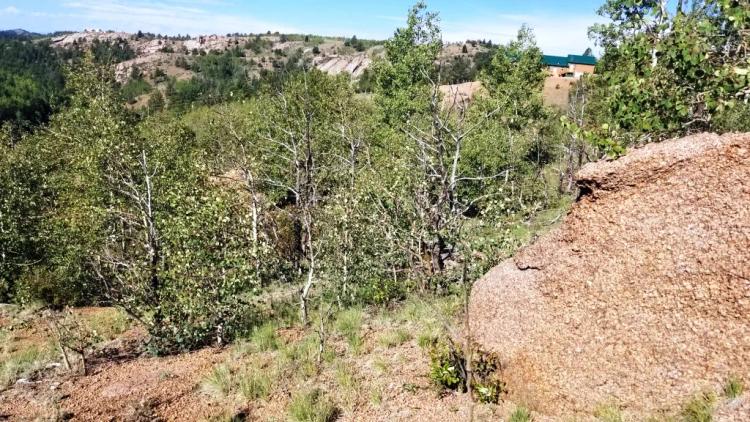 Creative Building Opportunity Near Cripple Creek Colorado - Hillside lot