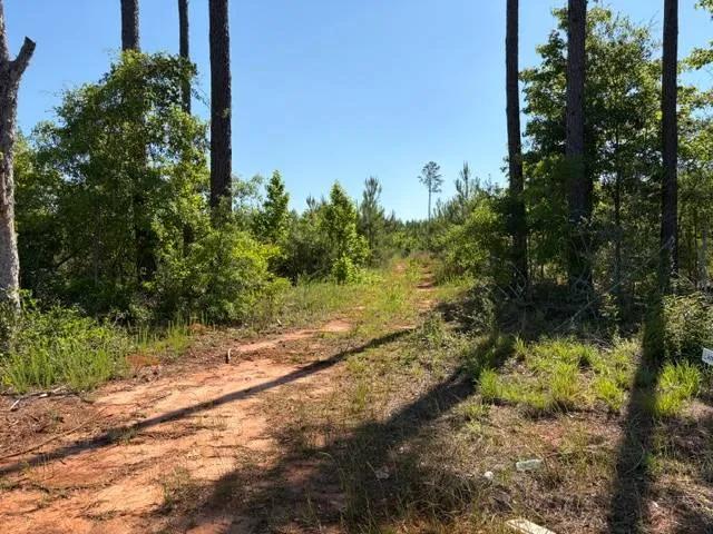 2.61 Acres of Country Living - Minutes from Town &amp; Straughn Scho
