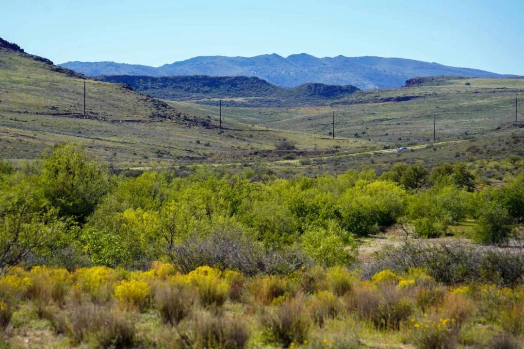 Rigden Ranch