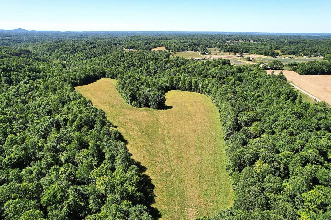 71.6+/- Acres - Pasture - Woodland - Hunting - Liberty, Ky.