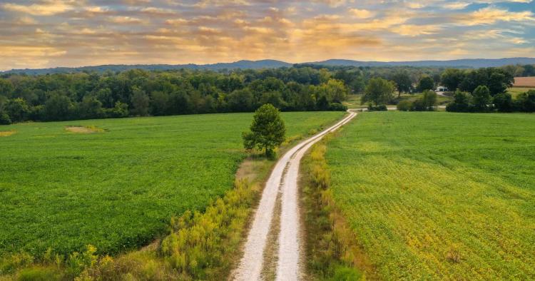 163 Acres, Elsberry, Lincoln County, MO