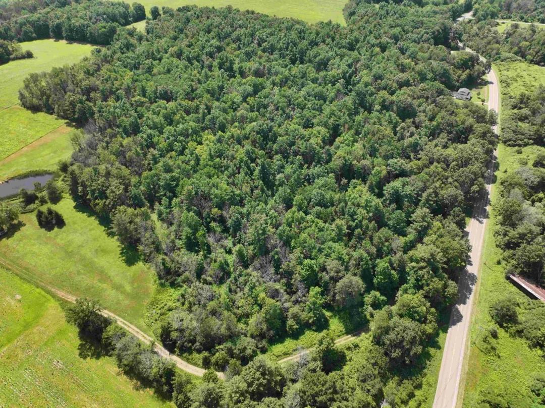 6.36 acre Building Lot and Recreational Land with Owner Financing in Belfast NY CR 17 Lot 11