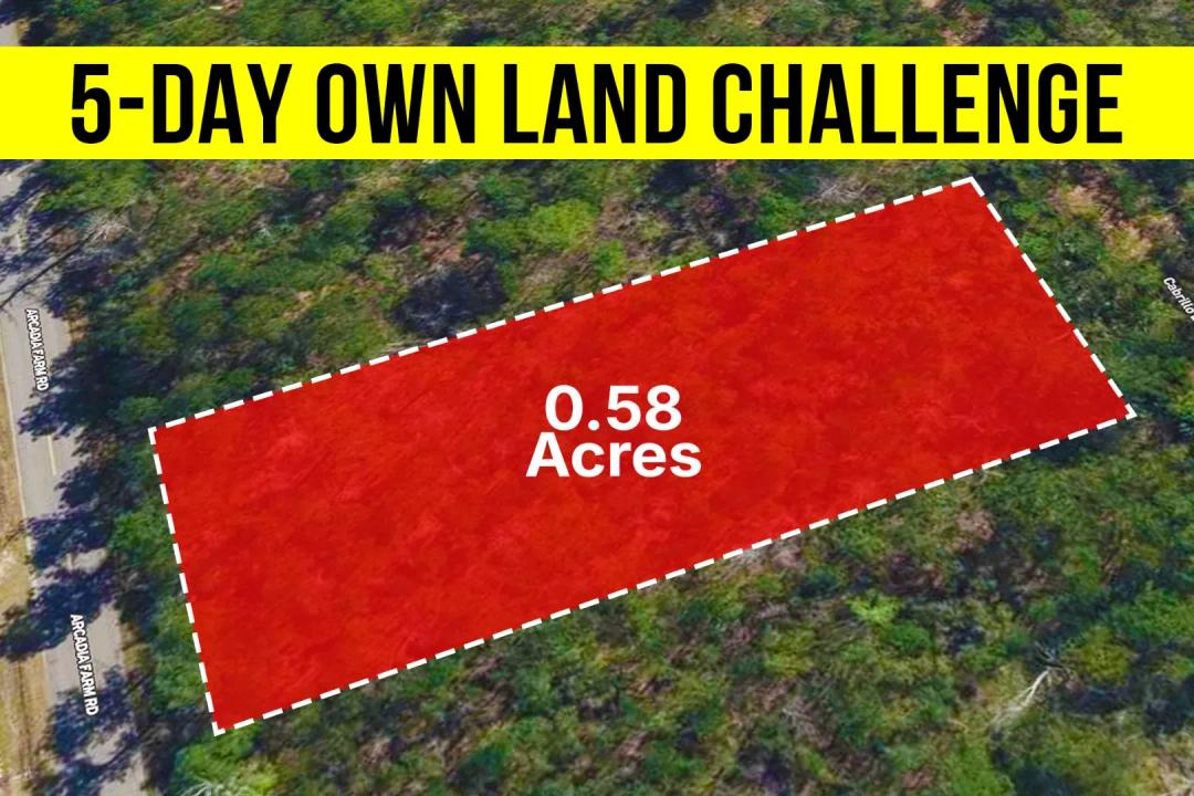 Own A 0.58-Acre Near the Gulf Coast, No HOA - Owner Financing