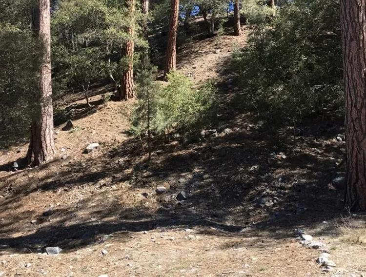 Picturesque Mountain Homesite