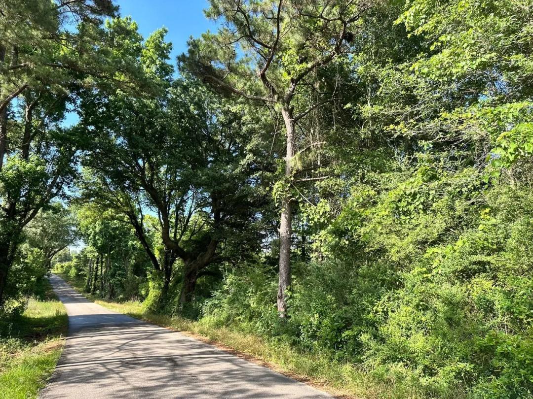 6.30 Acres at 0a Clyde Lofton Road