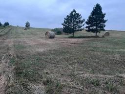 72432938-10