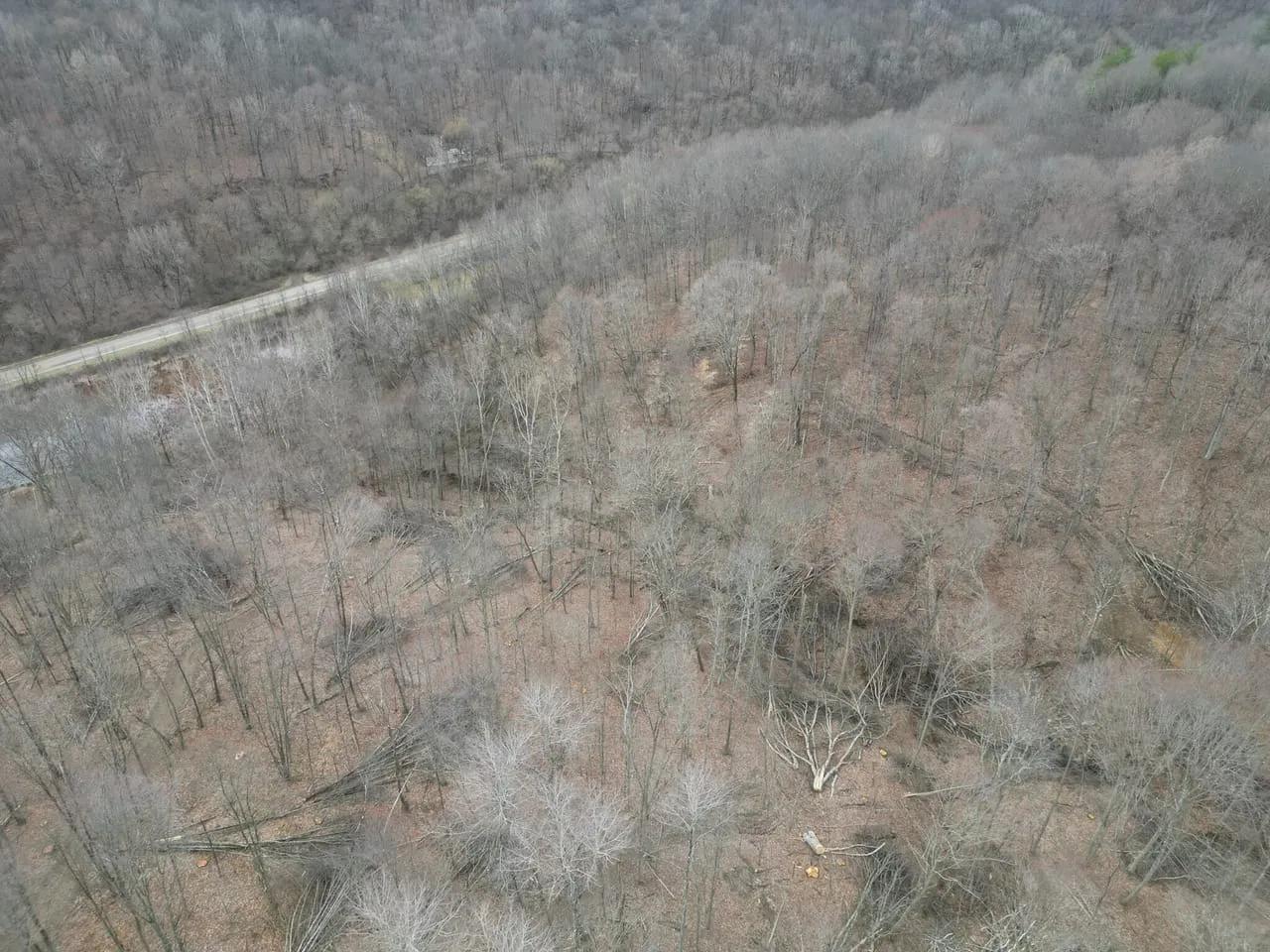 72435689-10