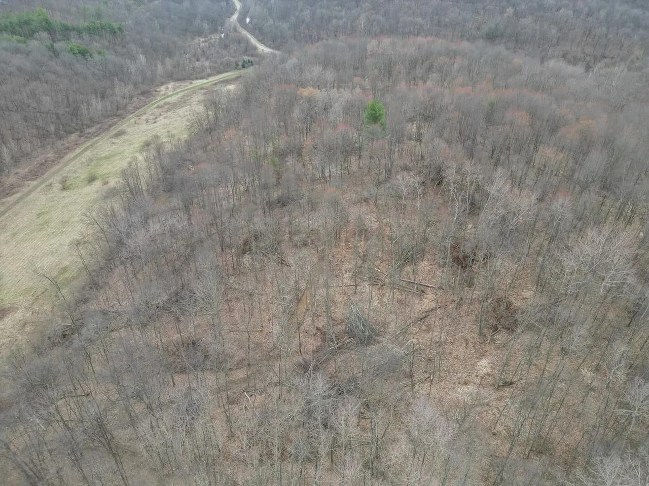 72435689-7