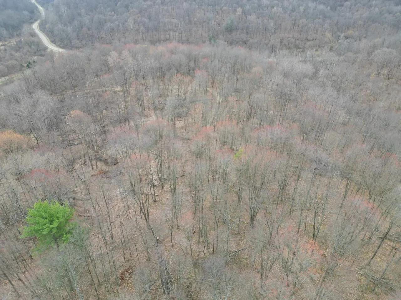 72435689-8