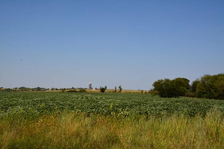 Raeta Estates  Lot 1