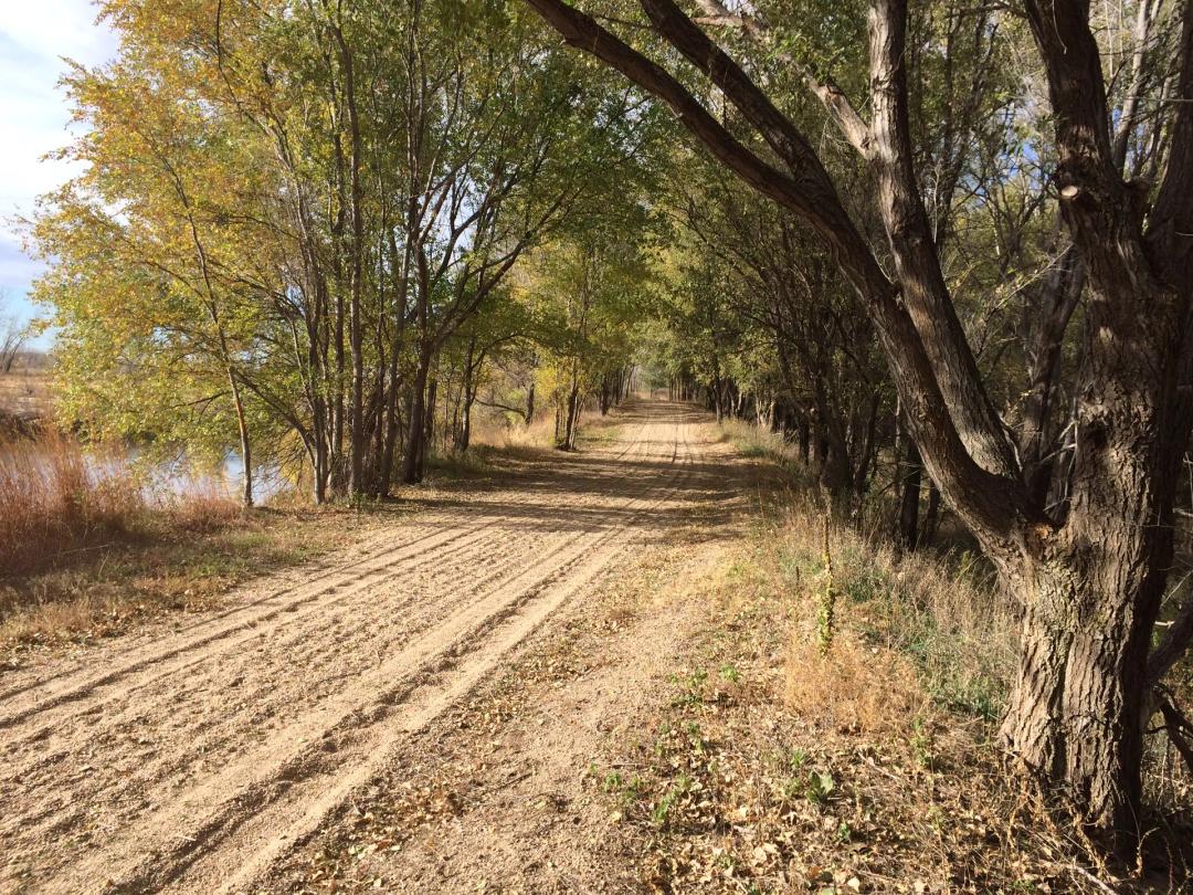 Mariposa Lake Lot 10