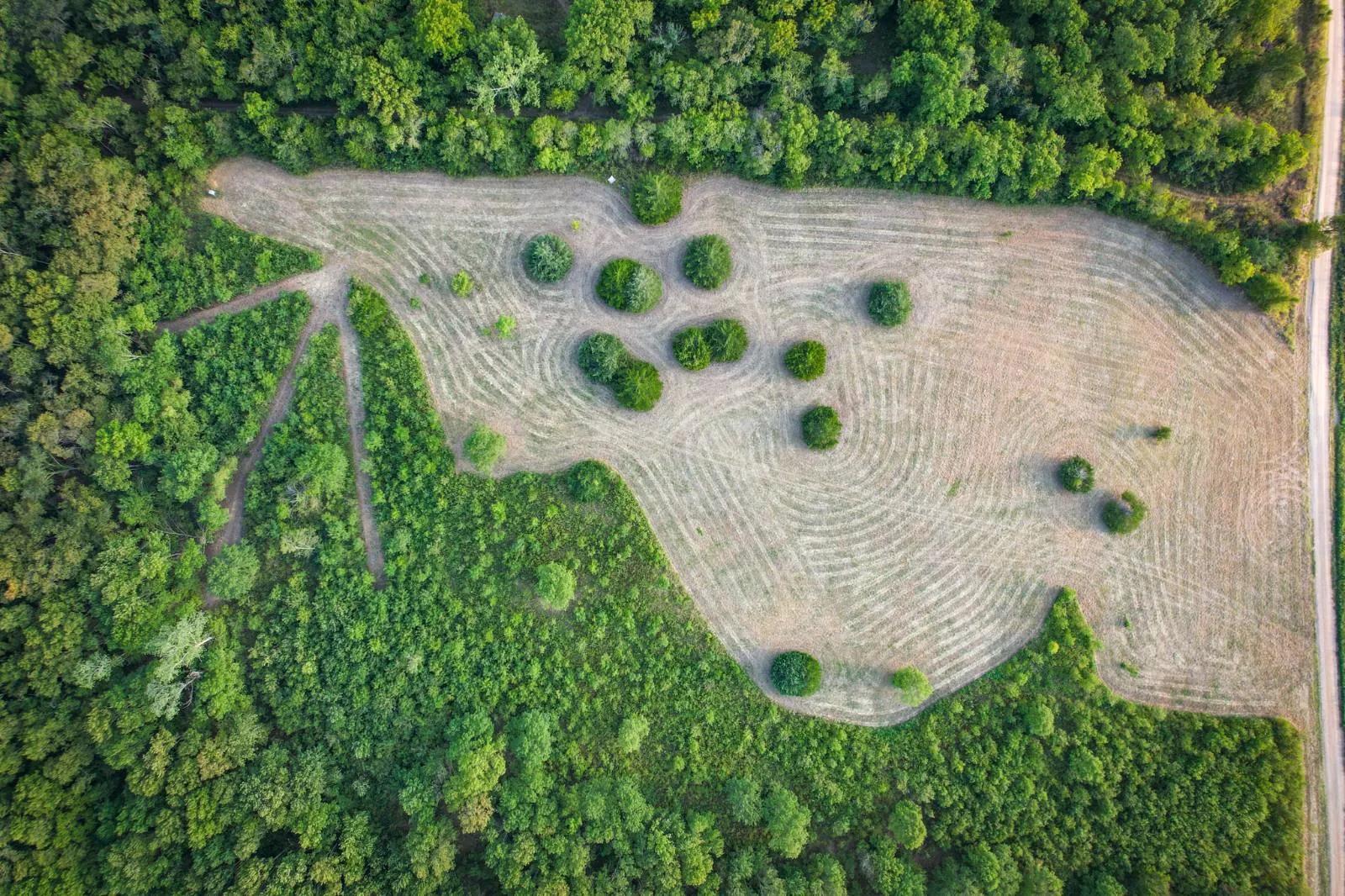 72486187-2