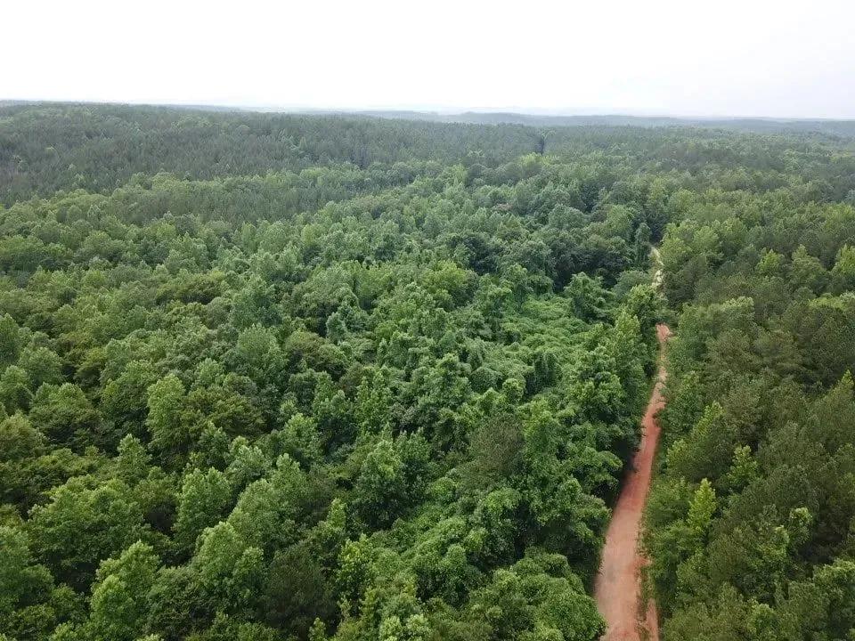 72499185-10