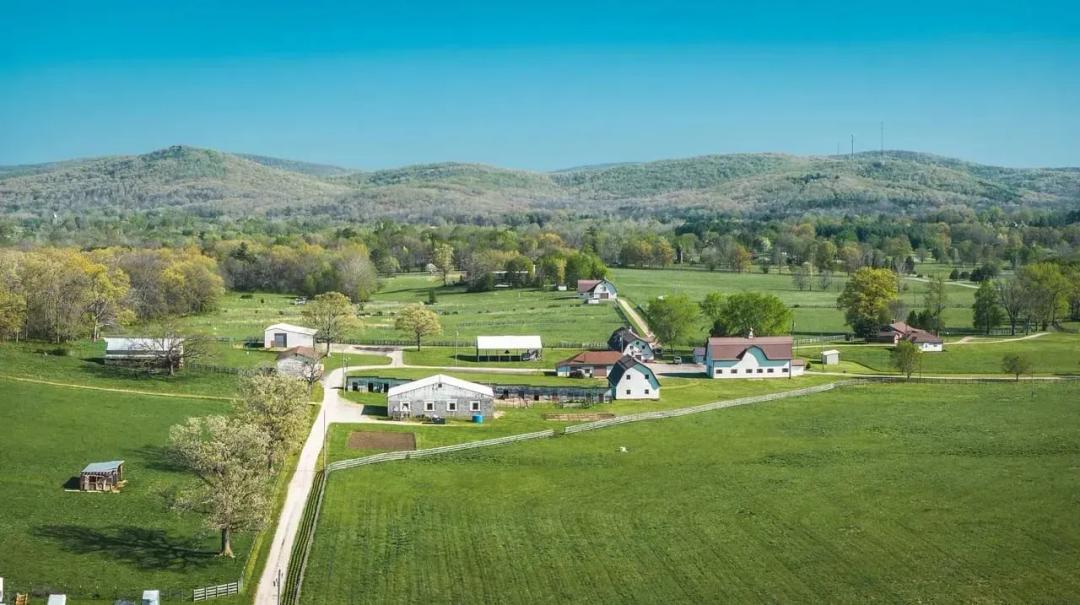 AV Livestock Farm