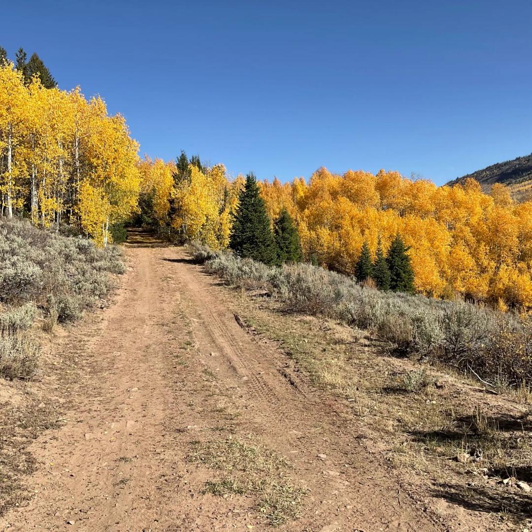 40.00 Acres at TBD Miller Creek Road