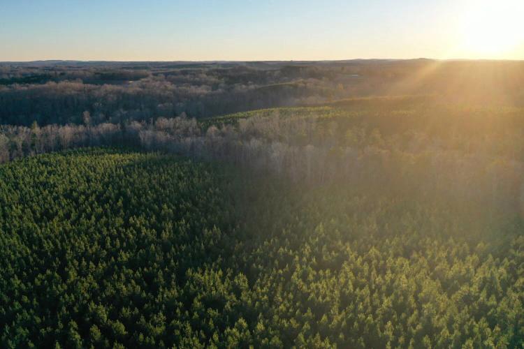 548.00 Acres at 0 Headers Bridge Road