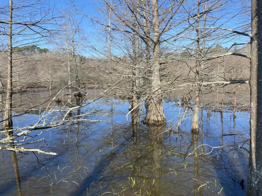 159.99 Acres at Rowell Road