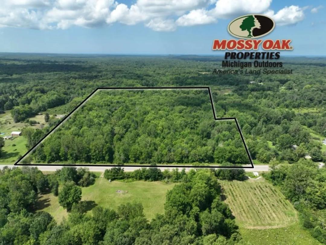 23.8 +/- Wooded Acres on M-140