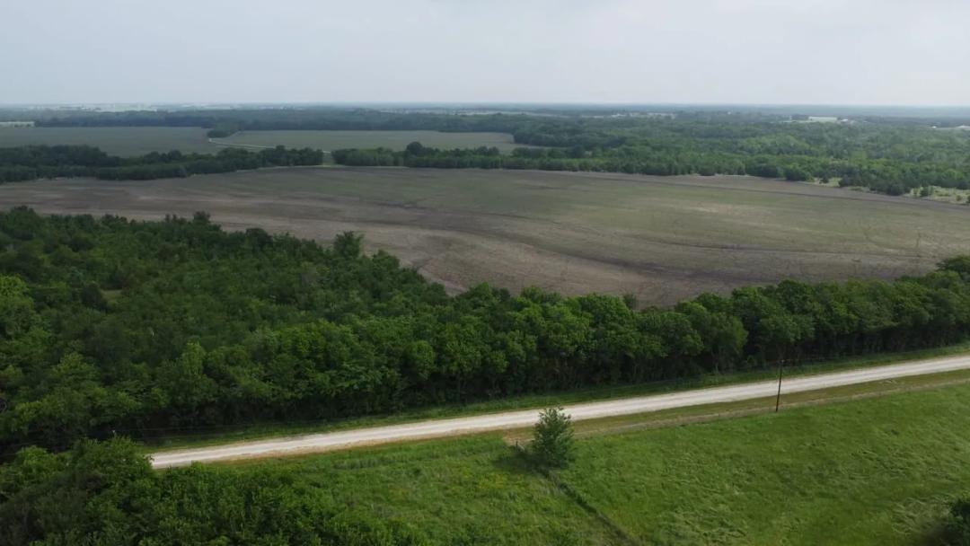 ~125 Acres on Willow Oak Creek
