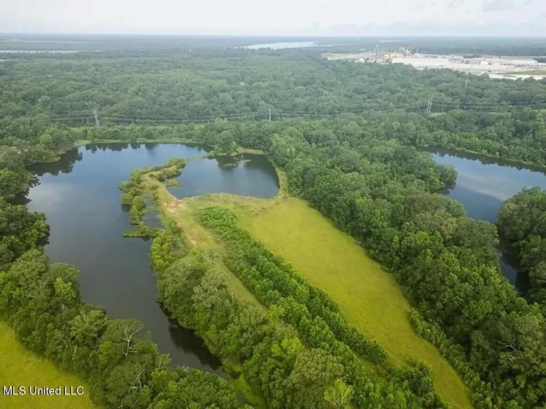 159 Acres in Port Hudson, Louisiana