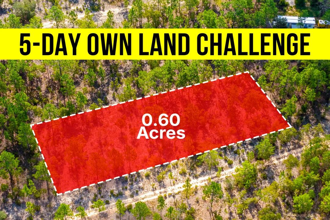 Own a 0.60-Acre Rural Lot In FL, Flexible Zoning - Owner Financing