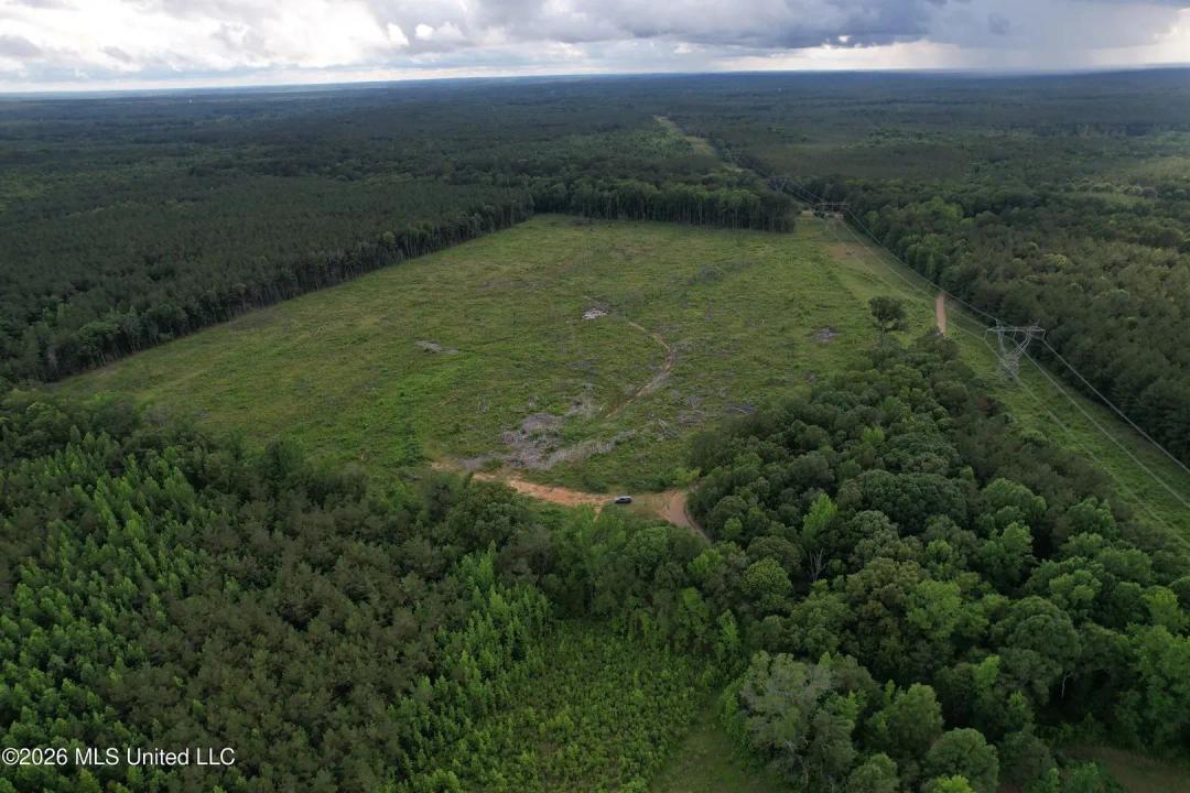 51.5 Acres of Land for Sale in Weir, MS