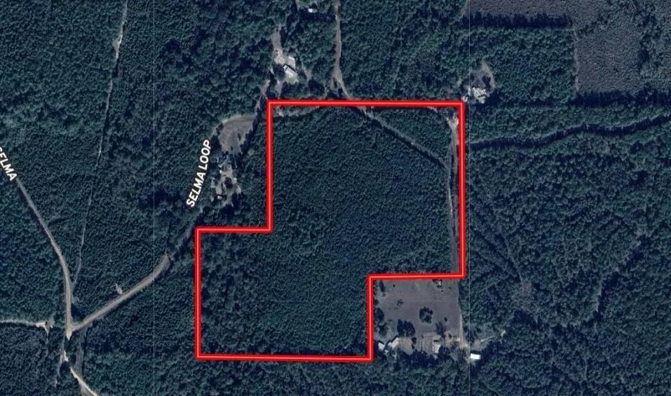 32 ACRES+- GRANT PARISH, LA