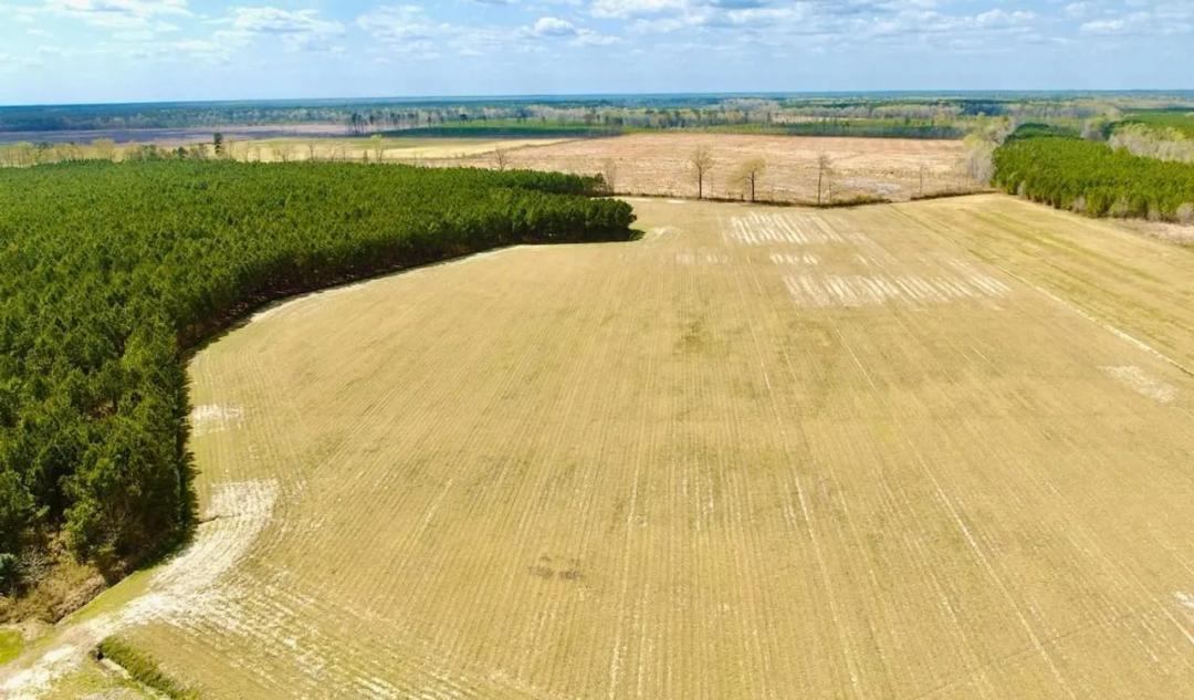 UNDER CONTRACT!!  112 acres of agricultural land in Gates County NC!